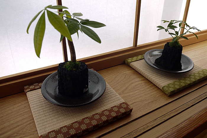 オーダーメイドのミニ畳