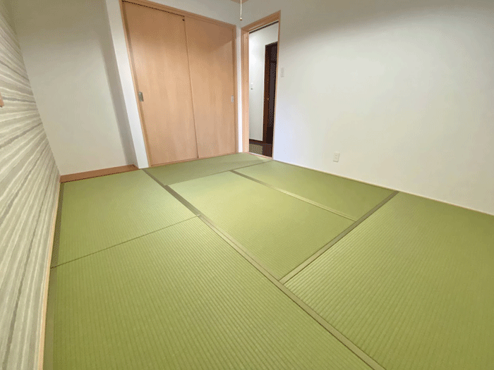 グリーン同系色畳