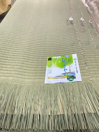 熊本県産　ひのさやか
